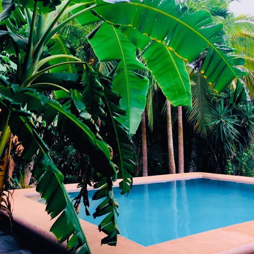 Hostal Villa Mercedes Tizimín Esterno foto